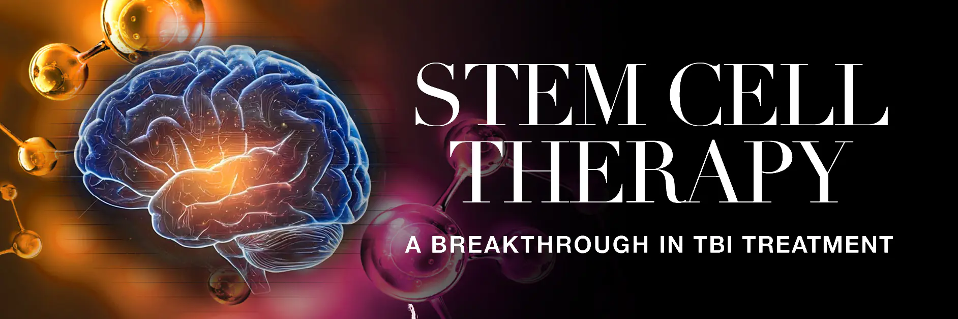 StemCells_Updated2
